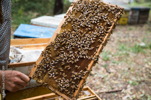 Closuep of beekeeper holding a honeycomb full of bees.