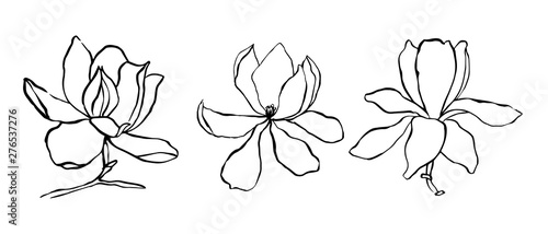 Sketch floral botany collection. Magnolia flower drawings.  Modern single line art, aesthetic contour. Black and white with line art on white backgrounds. Hand Drawn Botanical Illustrations.Vector.