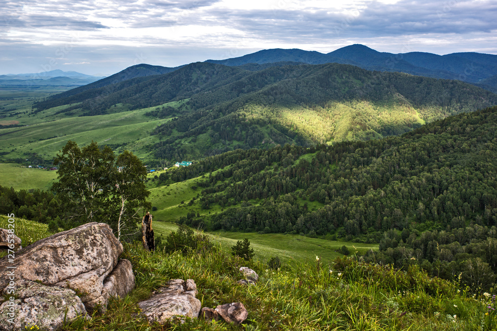 Fototapeta premium mountain landscape with trees and blue sky