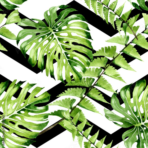 Palm beach tree leaves jungle botanical. Watercolor background illustration s...