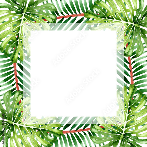 Palm beach tree leaves jungle botanical. Watercolor background illustration s...