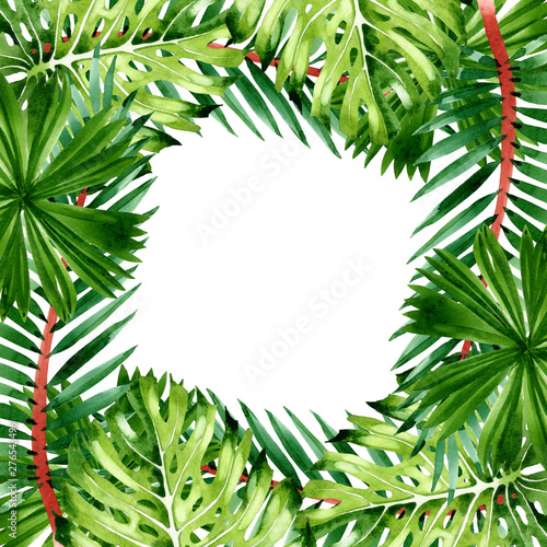 Palm beach tree leaves jungle botanical. Watercolor background illustration s...
