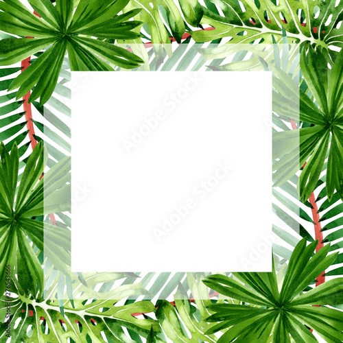Palm beach tree leaves jungle botanical. Watercolor background illustration s...