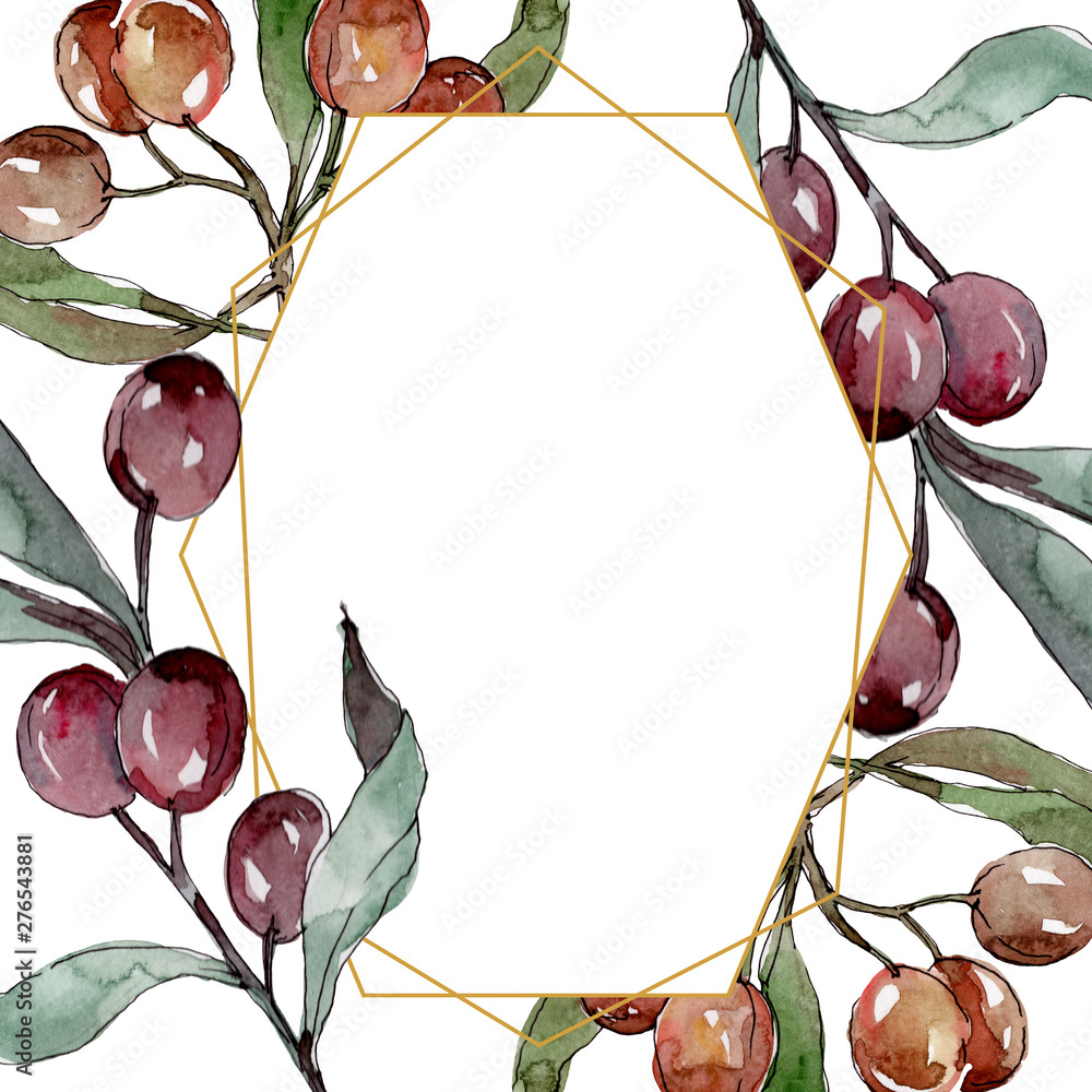 Olive branch with black and green fruit. Watercolor background ...