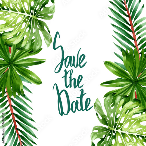 Palm beach tree leaves jungle botanical. Watercolor background illustration s...