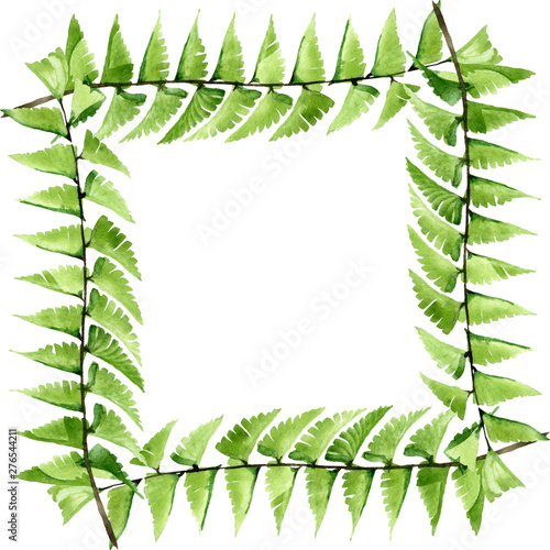 Palm beach tree leaves jungle botanical. Watercolor background illustration s...