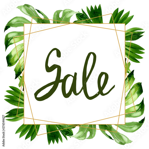 Palm beach tree leaves jungle botanical. Watercolor background illustration s...