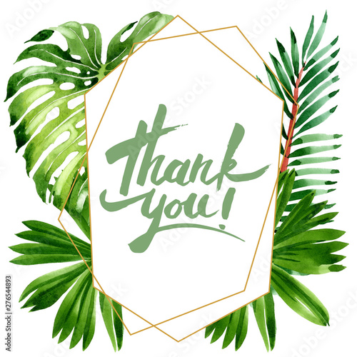 Palm beach tree leaves jungle botanical. Watercolor background illustration s...