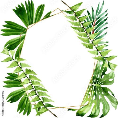 Palm beach tree leaves jungle botanical. Watercolor background illustration s...