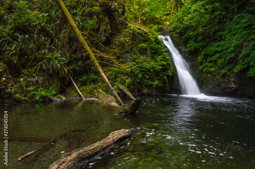 Fototapeta Naklejka Na Ścianę i Meble -  Soft flowing water fall into a British Columbia stream.  