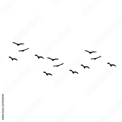 Obraz na plátně birds vector silhouette