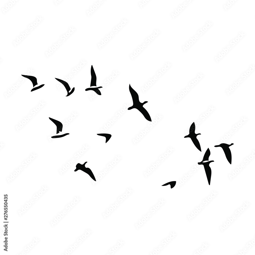 birds vector silhouette birds vector silhouette