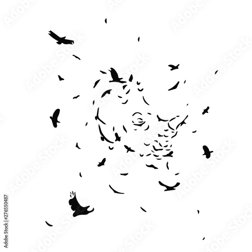 birds vector silhouette