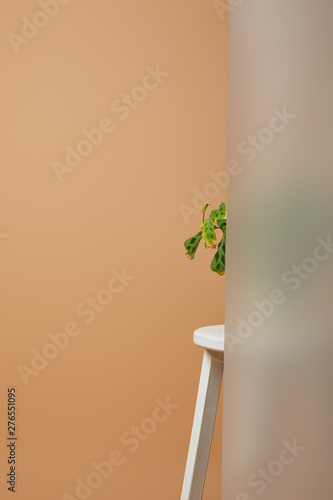 part of plant with green leaves behind matt glass on white stoon isolated on beige photo