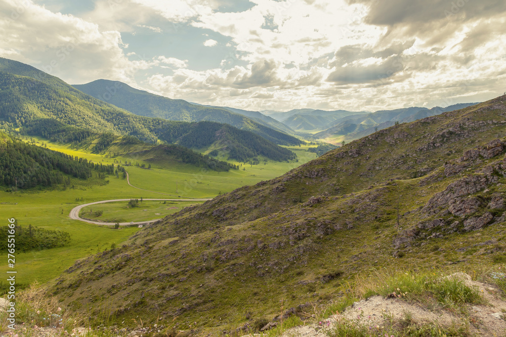 A picturesque place in the Altai Mountains with green trees and grass in the wild with a winding road at the foot under a blue sky with clouds on a warm summer day.