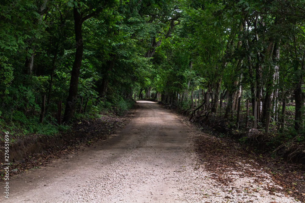 Fototapeta premium Road, Guanacaste, Costa Rica.