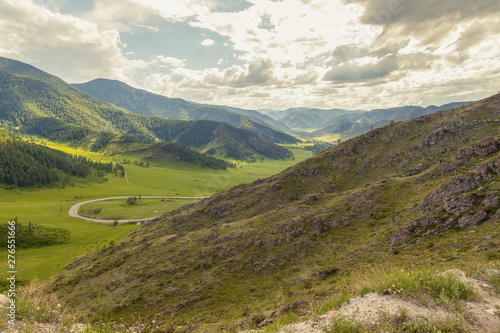 Fototapeta Naklejka Na Ścianę i Meble -  A picturesque place in the Altai Mountains with green trees and grass in the wild with a winding road at the foot under a blue sky with clouds on a warm summer day.