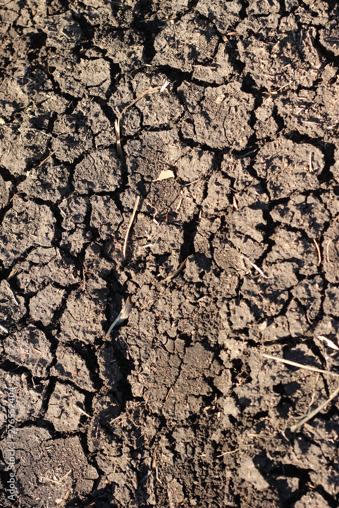black, thirsty dry parched earth on a farm in drought in rural New South Wales, Australia black, thirsty dry parched earth on a farm in drought in rural New South Wales, Australia