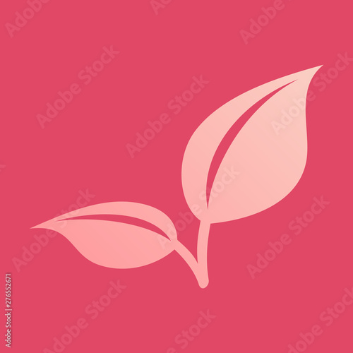 Fresh mint leaf. Flat menthol healthy aroma. Herbal nature plant. Spearmint leafs