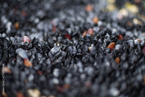 Black mussels