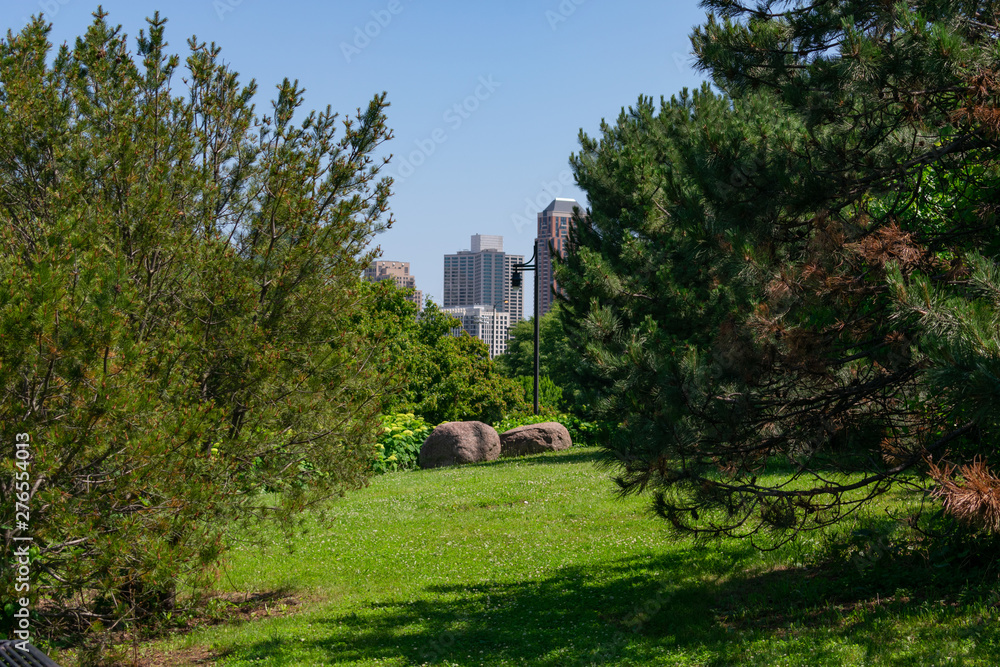 South Loop Buildings Framed by Two Trees at Ping Tom Memorial Park in Chinatown Chicago
