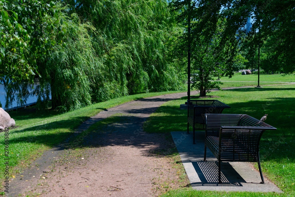 Benches along a Path next to the Chicago River at Ping Tom Memorial Park in Chinatown Chicago