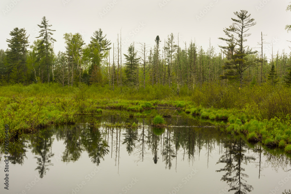Brunsweiler River at the head of Spider Lake in the Chequamegon National Forest.