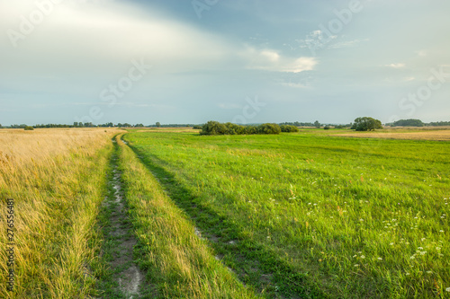 Road through fields and meadows towards the horizon