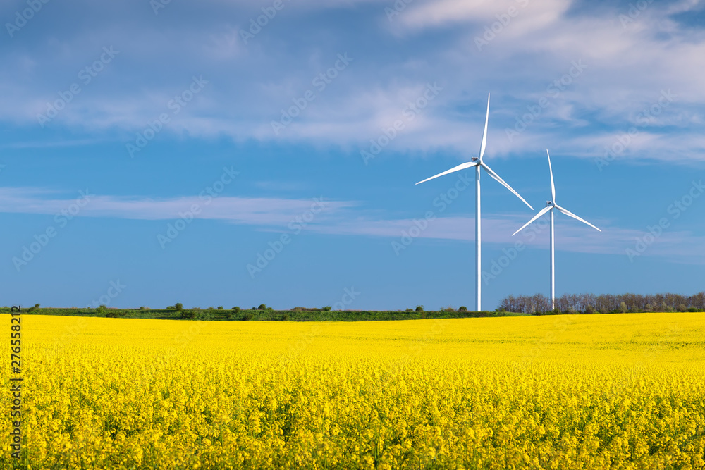 Two wind turbines in a rapeseed field with blue sky and clouds Two wind turbines in a rapeseed field with blue sky and clouds