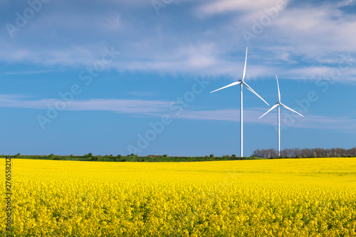 Two wind turbines in a rapeseed field with blue sky and clouds © bymandesigns