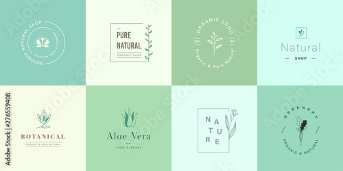 Set of natural and organic logo. Natural logo for branding, corporate identity, packaging and business card. Flat design cute nature logo.