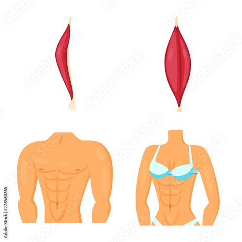 Isolated object of muscle and cells logo. Collection of muscle and anatomy vector icon for stock.