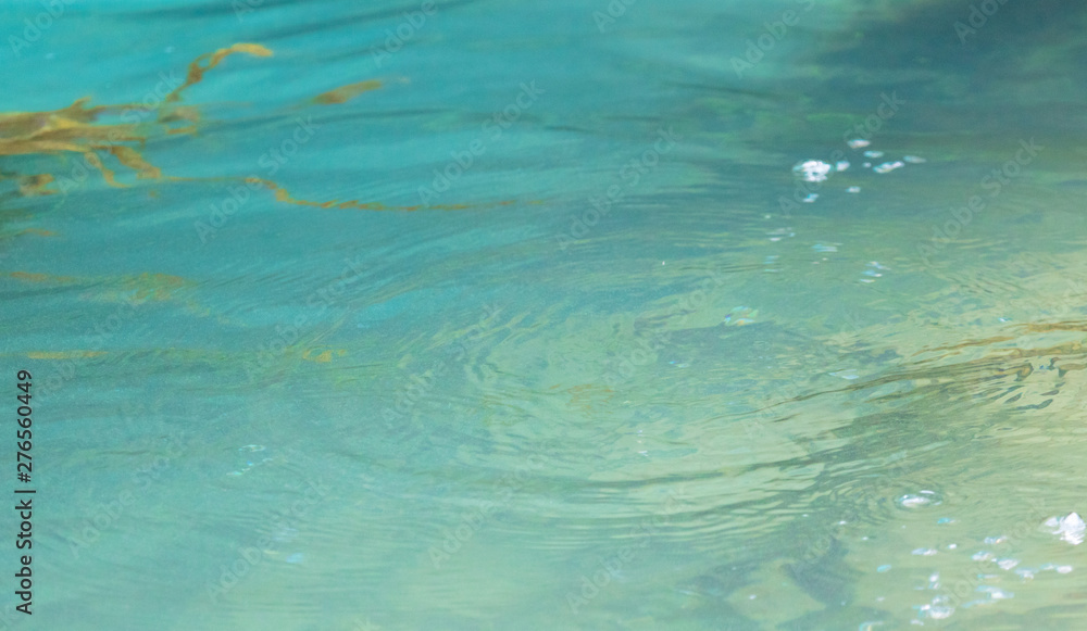 Turquoise water in a pond as an abstract background Turquoise water in a pond as an abstract background