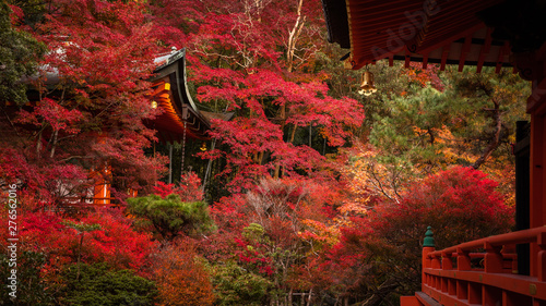 京都府 毘沙門堂 紅葉