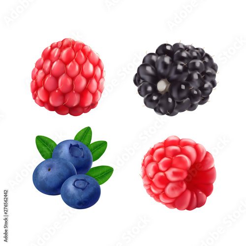 Blackberries blueberries and raspberries. 3d vector icon set. Realistic illustration