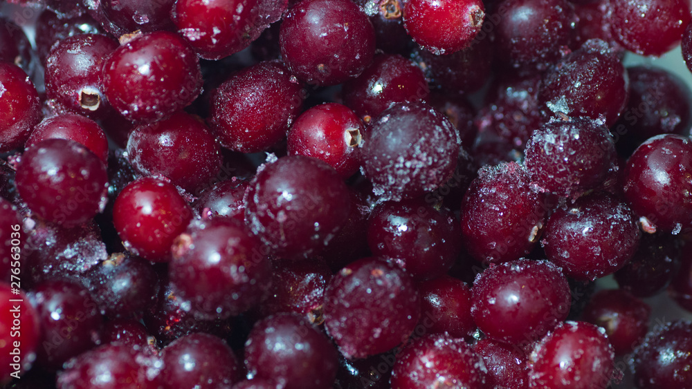 lots of fresh frozen cranberries pile on the table lots of fresh frozen cranberries pile on the table