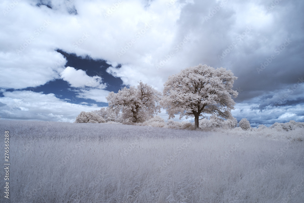 infrared landscape with trees and blue sky