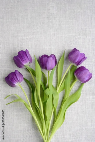 Fototapeta Naklejka Na Ścianę i Meble -  Purple tulips