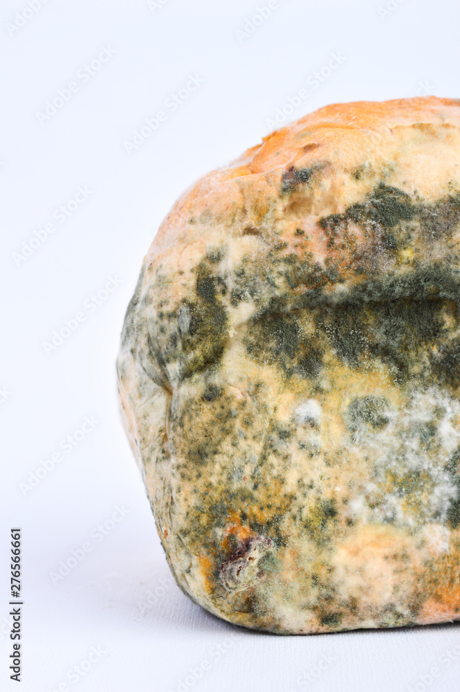 Mold on bread on a white background Mold on bread on a white background