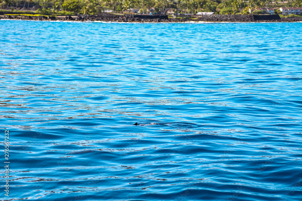 blue water in Hawaii