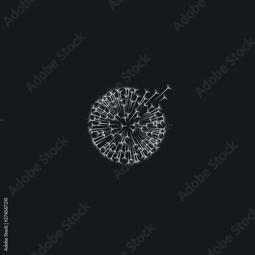 Dandelion, white taraxacum icon. Wind inflates a dandelion. Template for your project. 