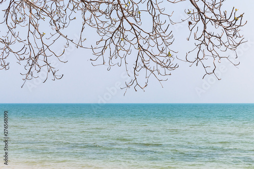 Fototapeta Naklejka Na Ścianę i Meble -  Dry branches on a sea background.