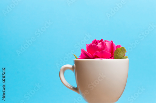 cup with flower inside on blue background