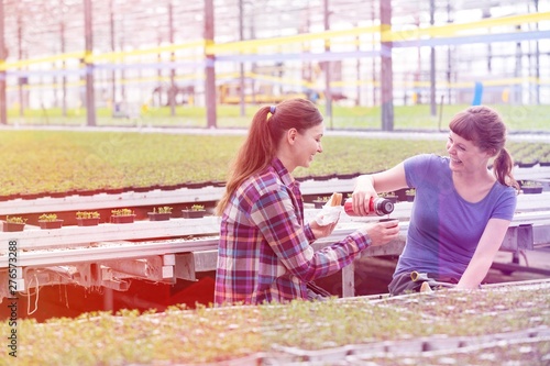 Wallpaper Mural Smiling female botanists enjoying coffee break amidst seedlings in greenhouse Torontodigital.ca