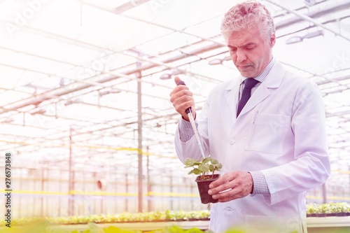 Male biochemist using pipette on seedling in plant nursery