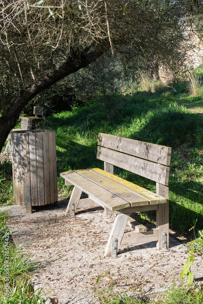 Rustic wooden bench in a park with green grass in summer Rustic wooden bench in a park with green grass in summer