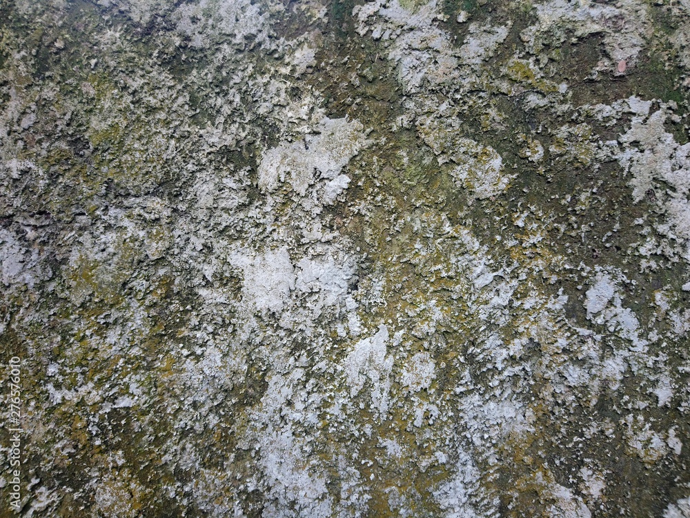 Yellow moss mix limestone texture on background