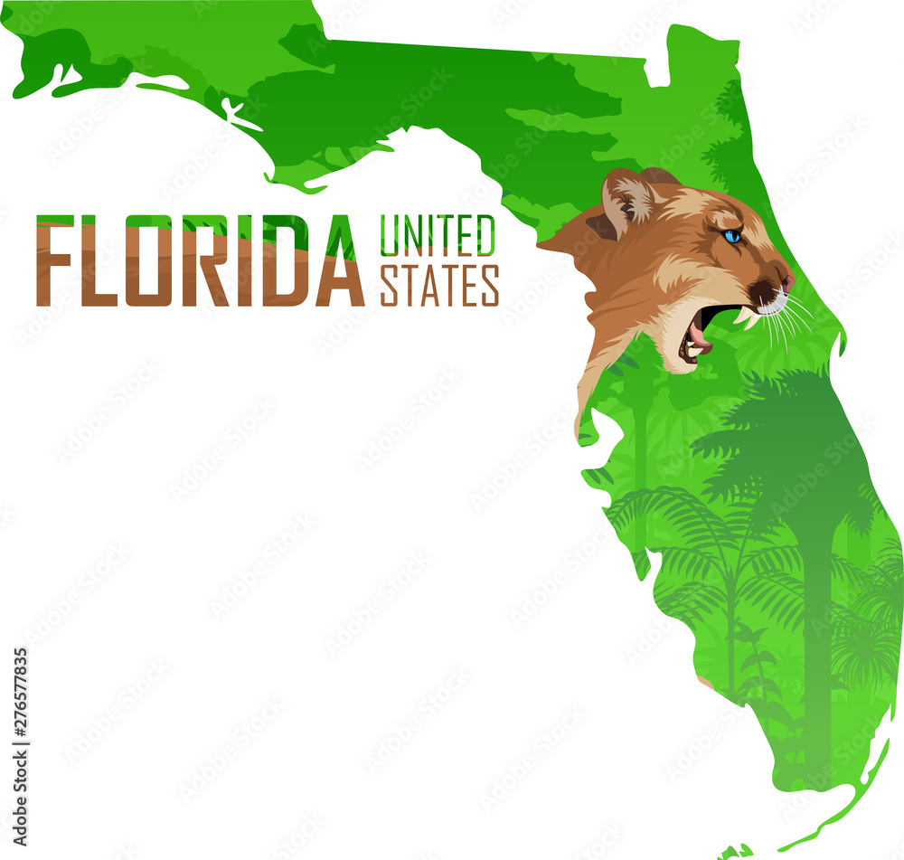 vector Florida - American state map with puma cougar or mountains lion  Stock Vector | Adobe Stock