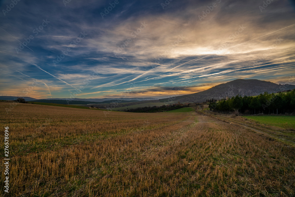 panoramic view of a rural countryside landscape during a winter sunrise with backlight and lens flares - Image