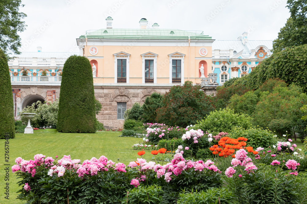 Pfingstrosen und Mohn im Garten im Katharinenpark, Russland